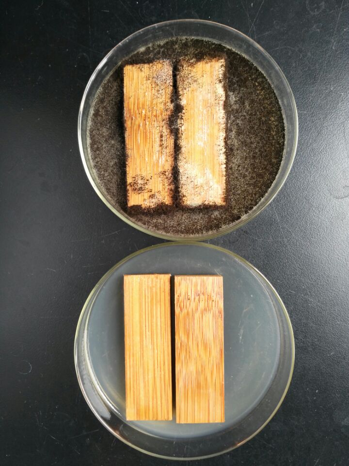 1541471447732283.jpg 木材防腐對(duì)比.jpg